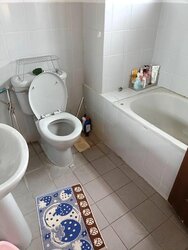 South Buona Vista Road (D5), Terrace #462133201